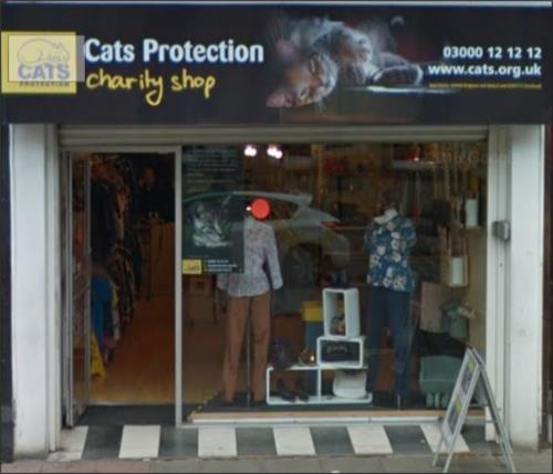 Cats Protection Chesterfield